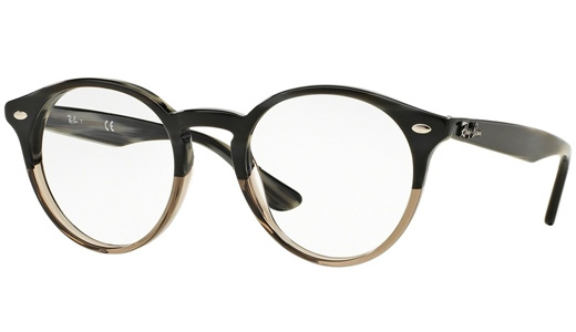 Круглая оправа Ray-Ban 2180V