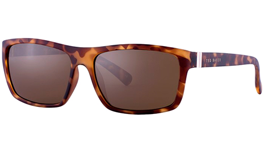 Солнцезащитные очки Ted Baker Donovan 1362 169